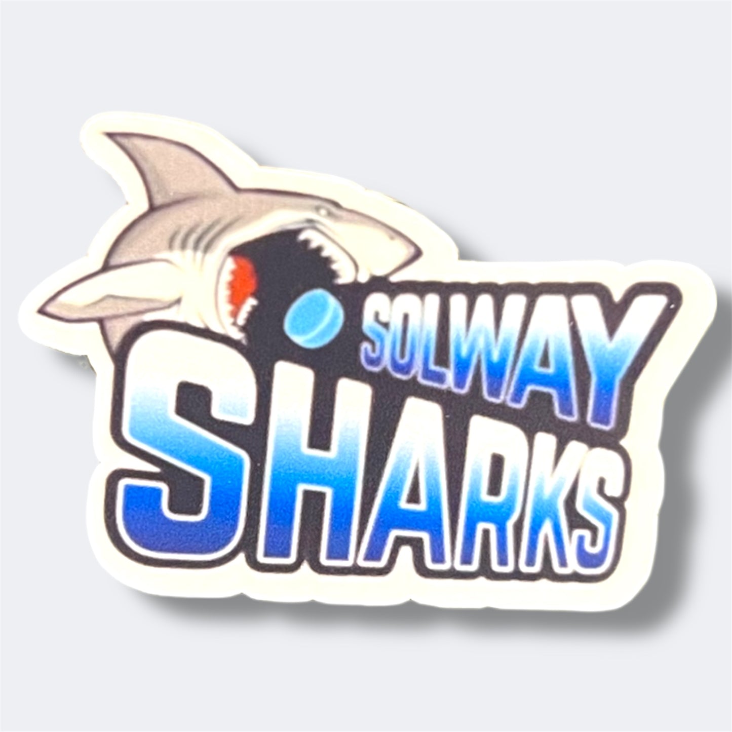 NIHL Ice Hockey Team Logo Stickers | UK Hockey Fan Stickers