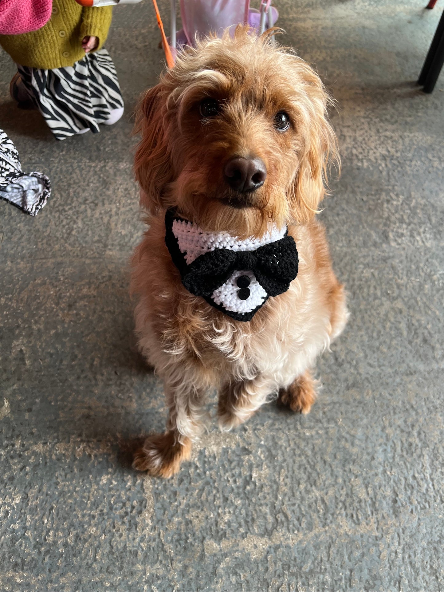 Handmade Crochet Tuxedo Dog Bandana