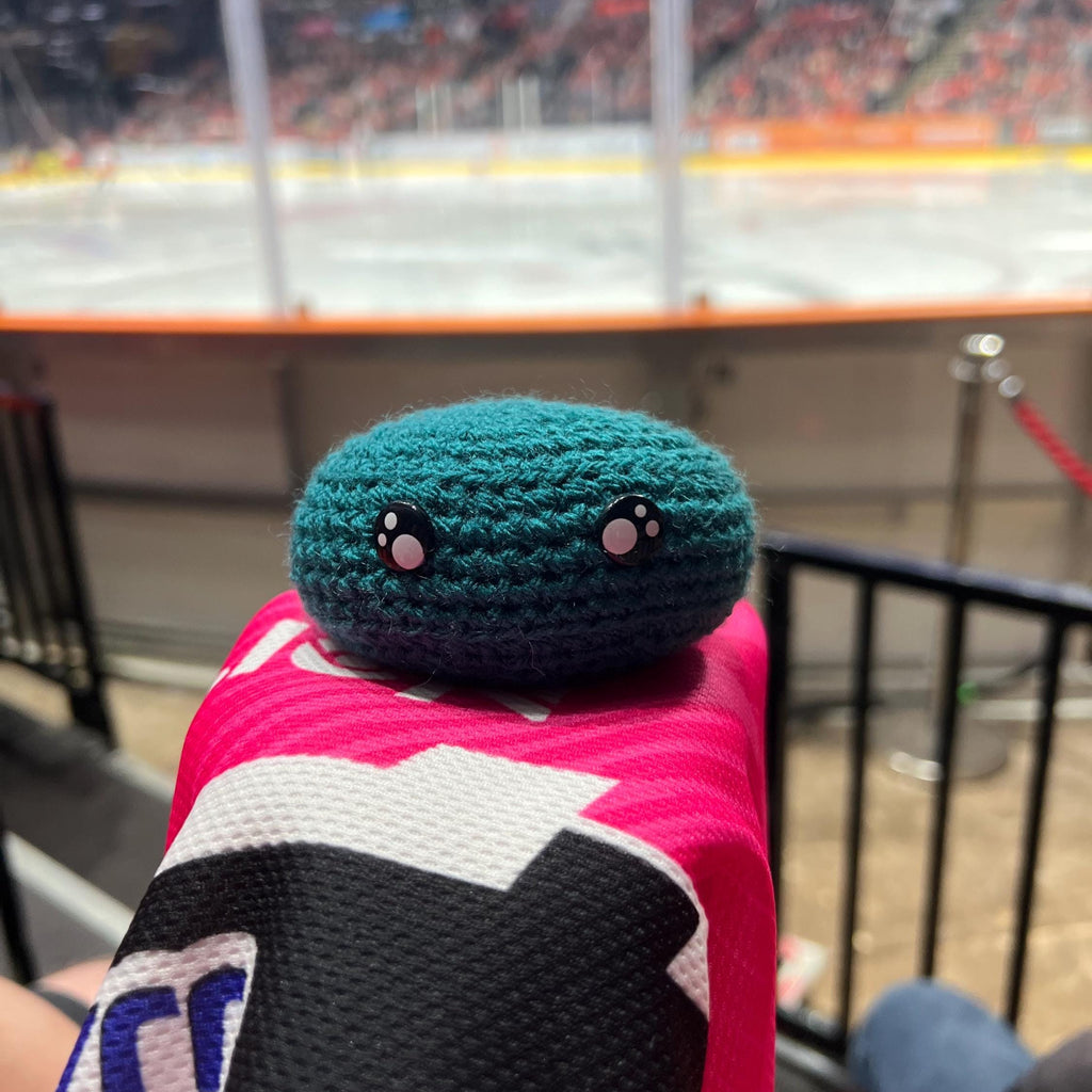 Person holding a belfast giants teal crochet ice hockey puck in front of an ice rink