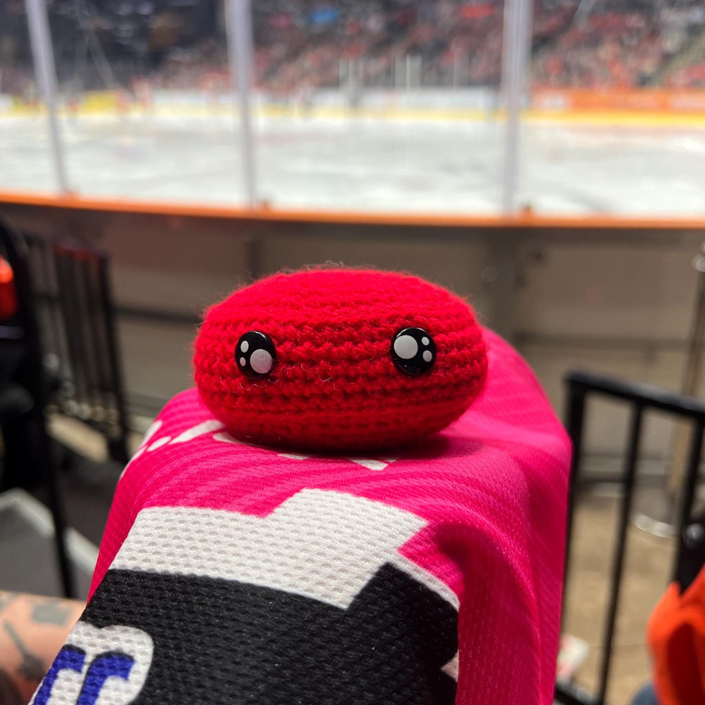 Person holding a cardiff devils red colour themed crochet ice hockey puck in front of an ice rink