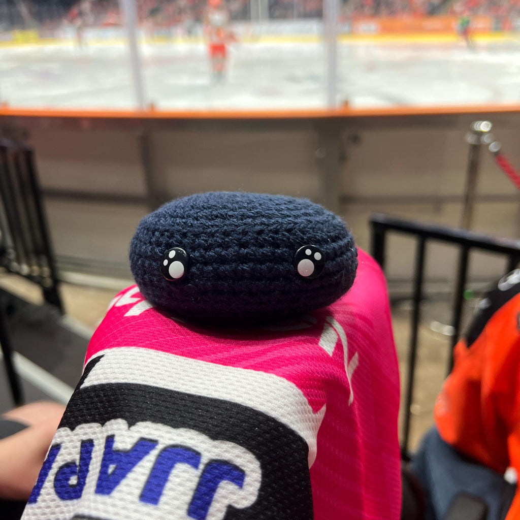 Person holding a dundee stars colour themed blue crochet ice hockey puck in front of an ice rink
